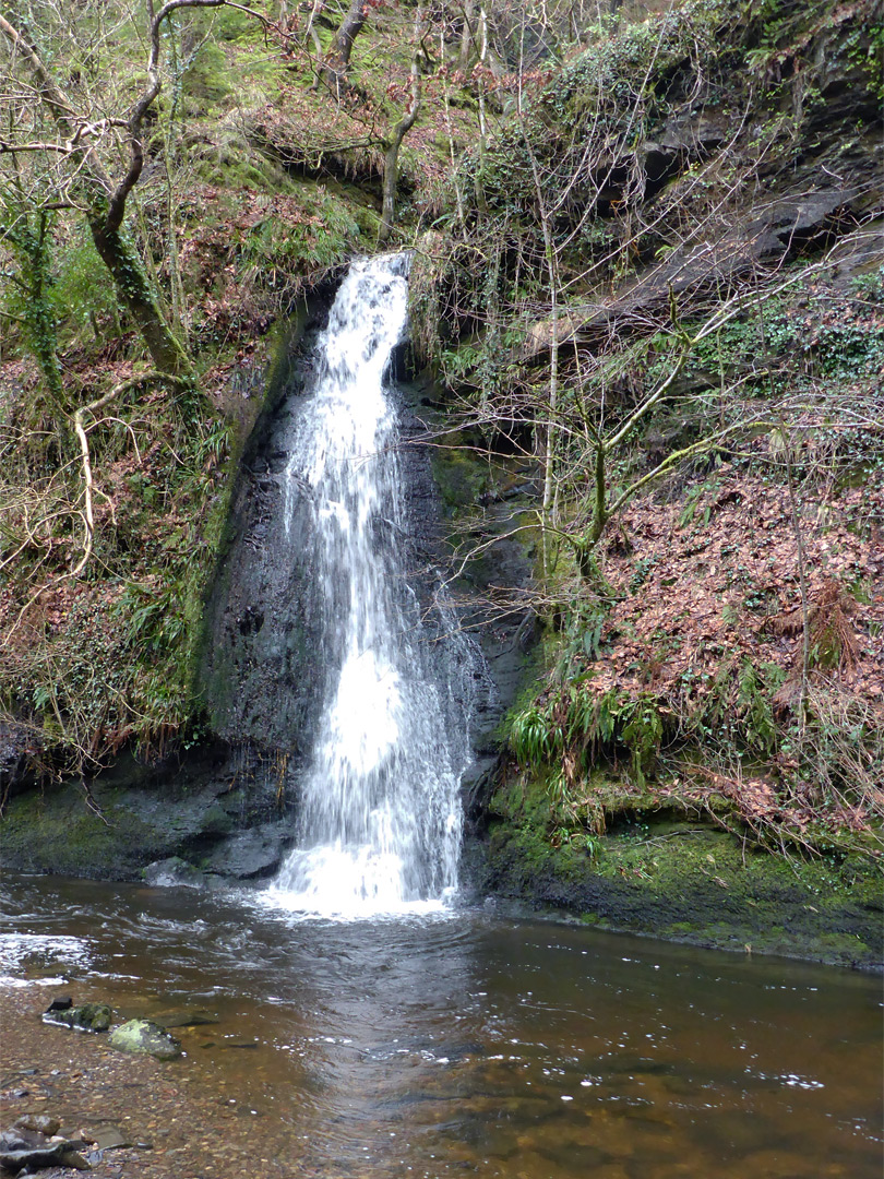 Tributary stream