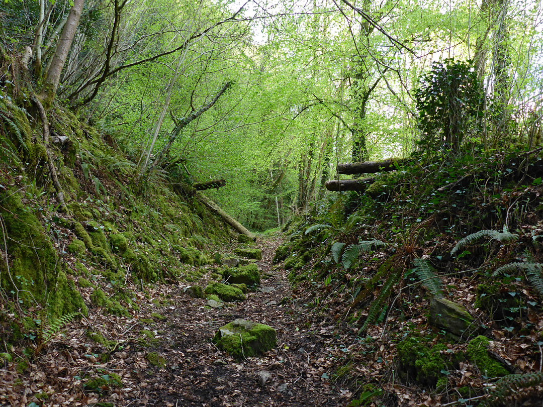 Path through a cutting