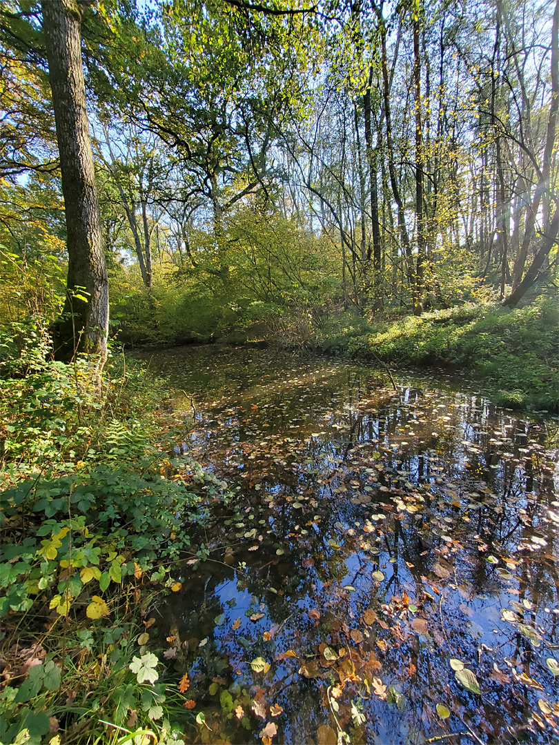 Basingstoke Canal