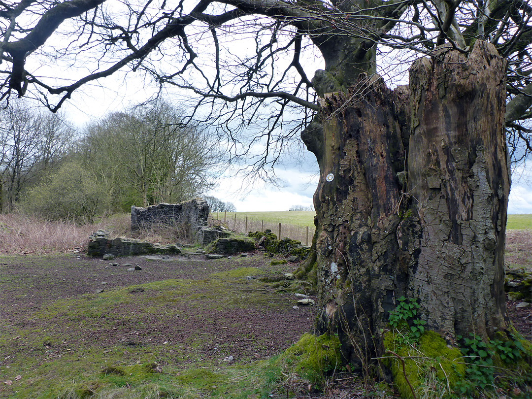 Old mine building