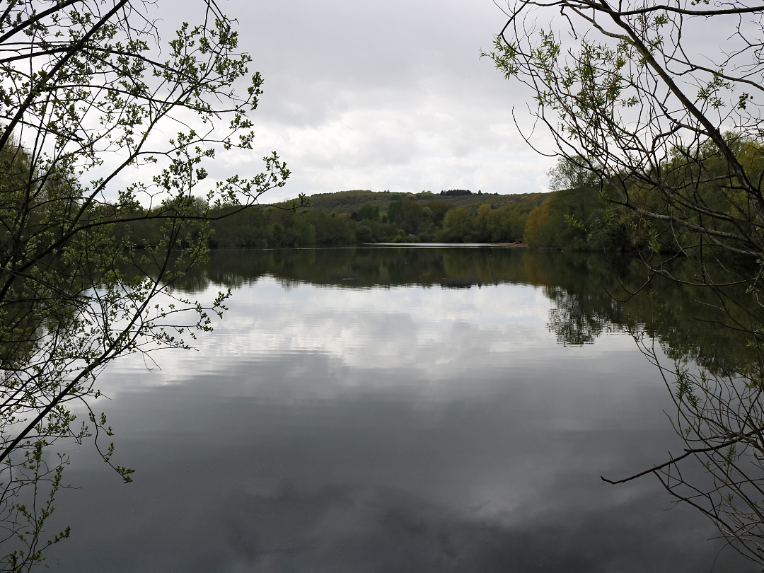 Shadowy lake