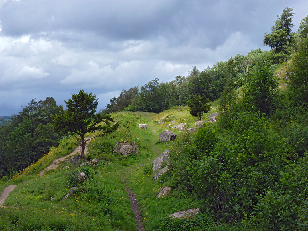 Disused quarry