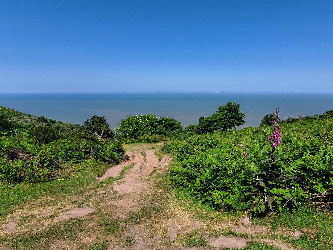 Path to the coast