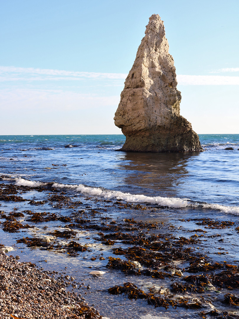 Seaweed beside Butter Rock