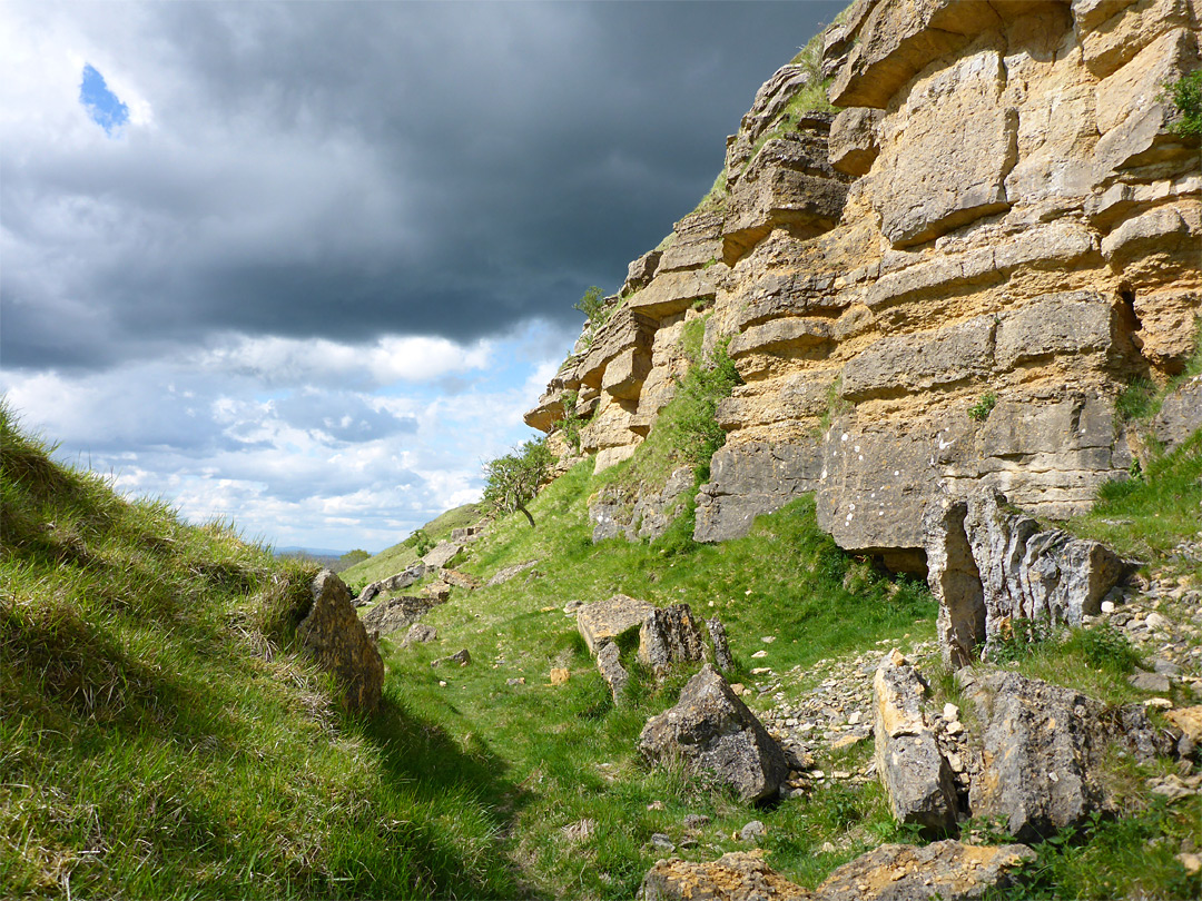 Grass below cliffs