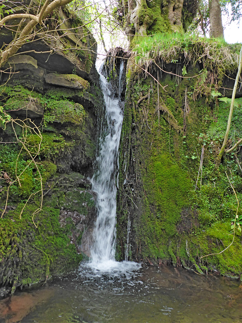 Moss-lined pool