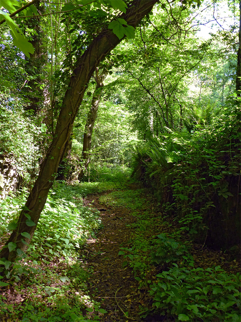 Railway cutting