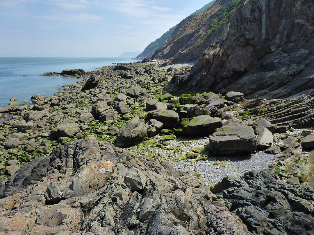 Seaweed-covered rocks