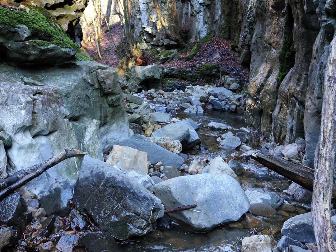 Tributary stream