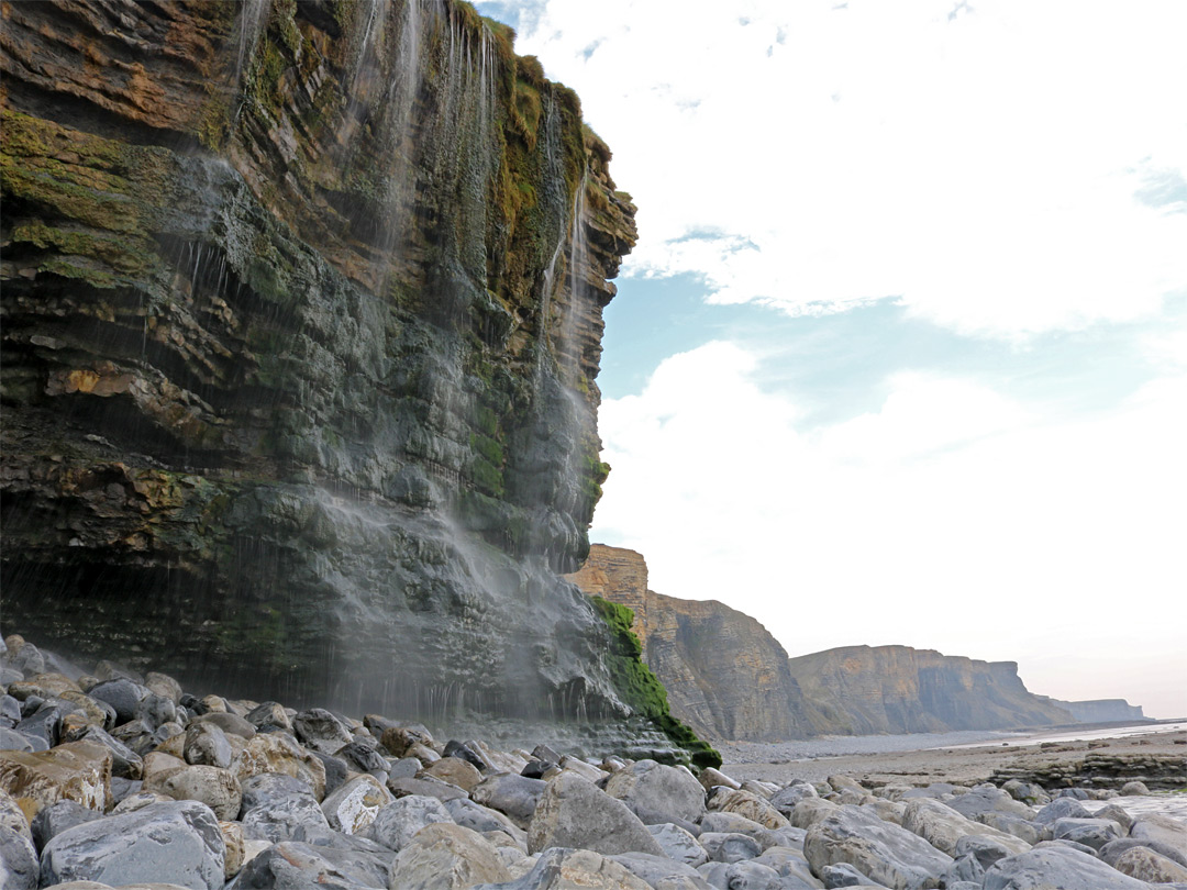 Algae-covered cliffs