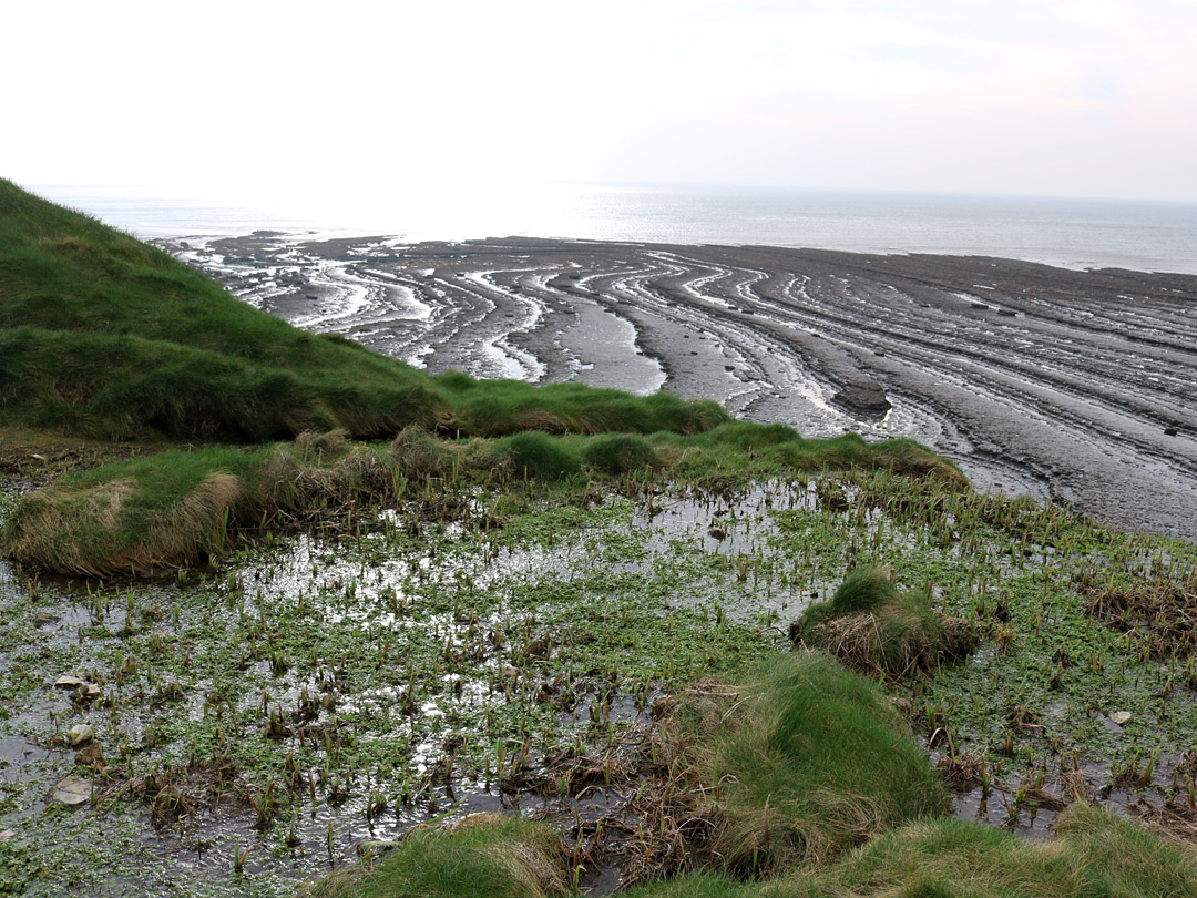 Shallow stream