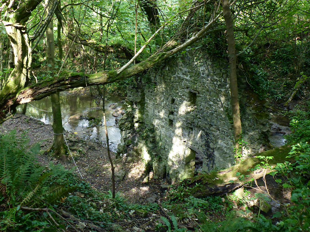 Ruined corn mill