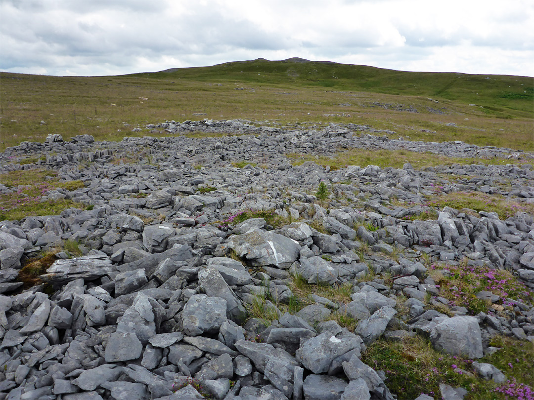 Limestone pavement