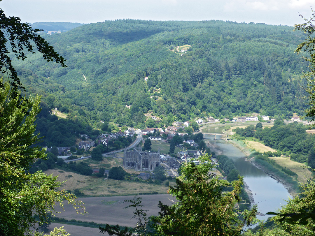 Tintern Abbey