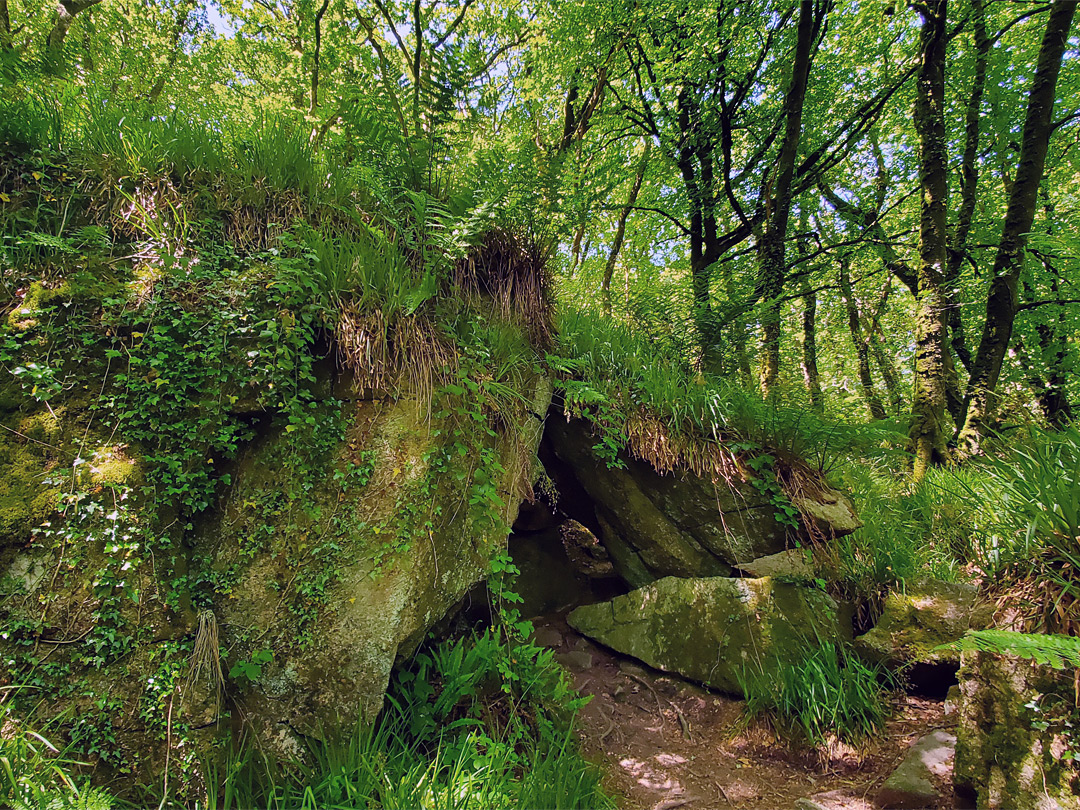 Grotto