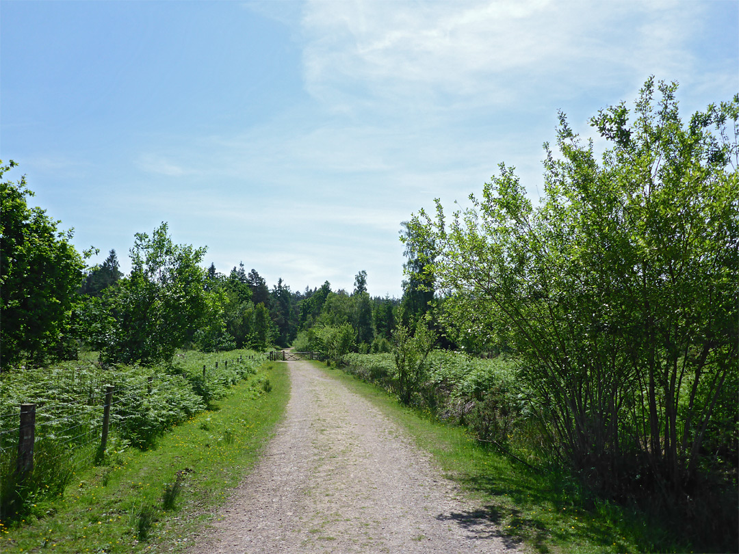 Gate at the reserve entrance