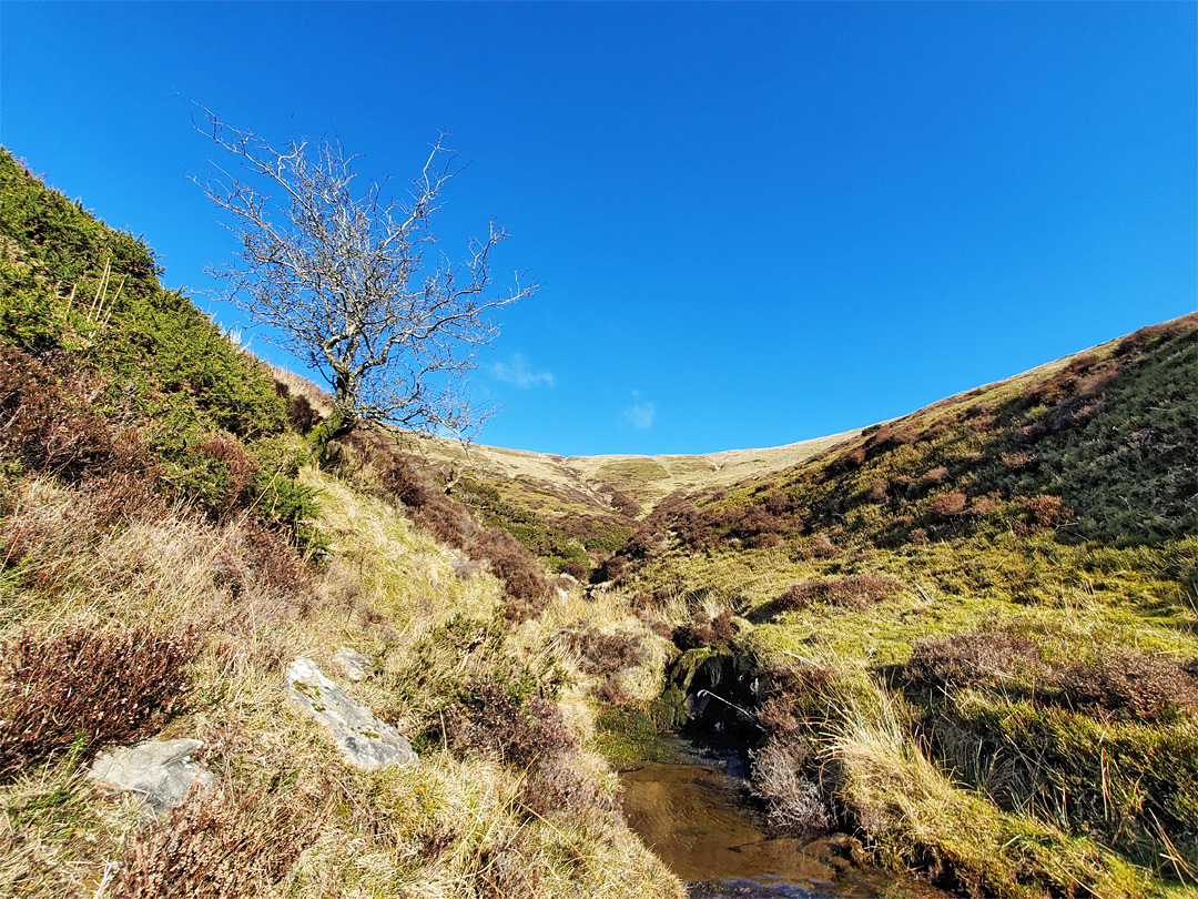 Tiny stream