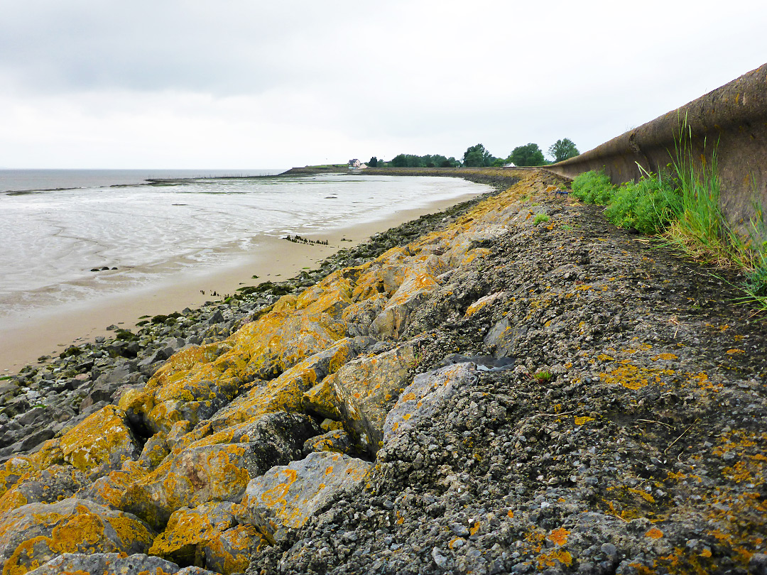 Seawall at Goldcliff