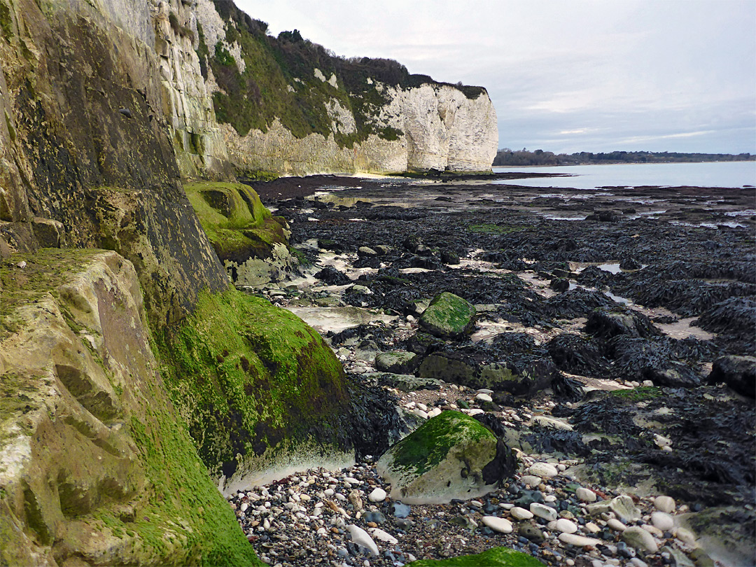 The undercliffs