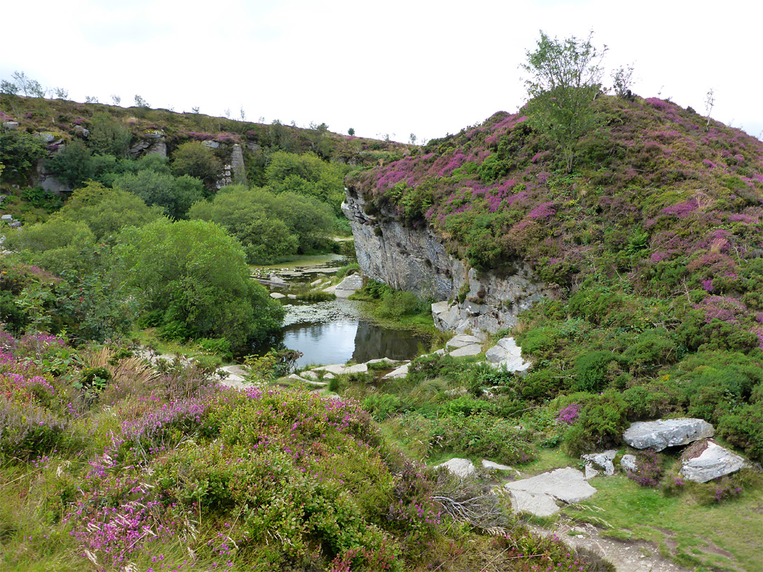 Edge of the quarry