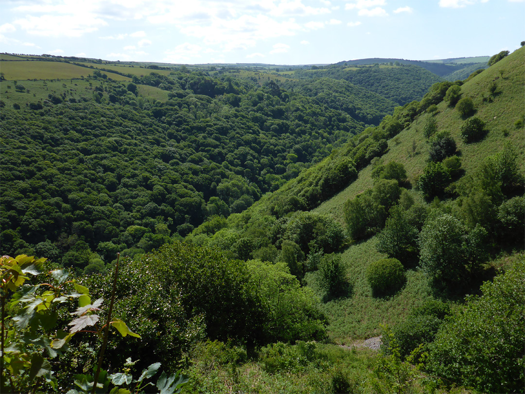 Heddon Valley