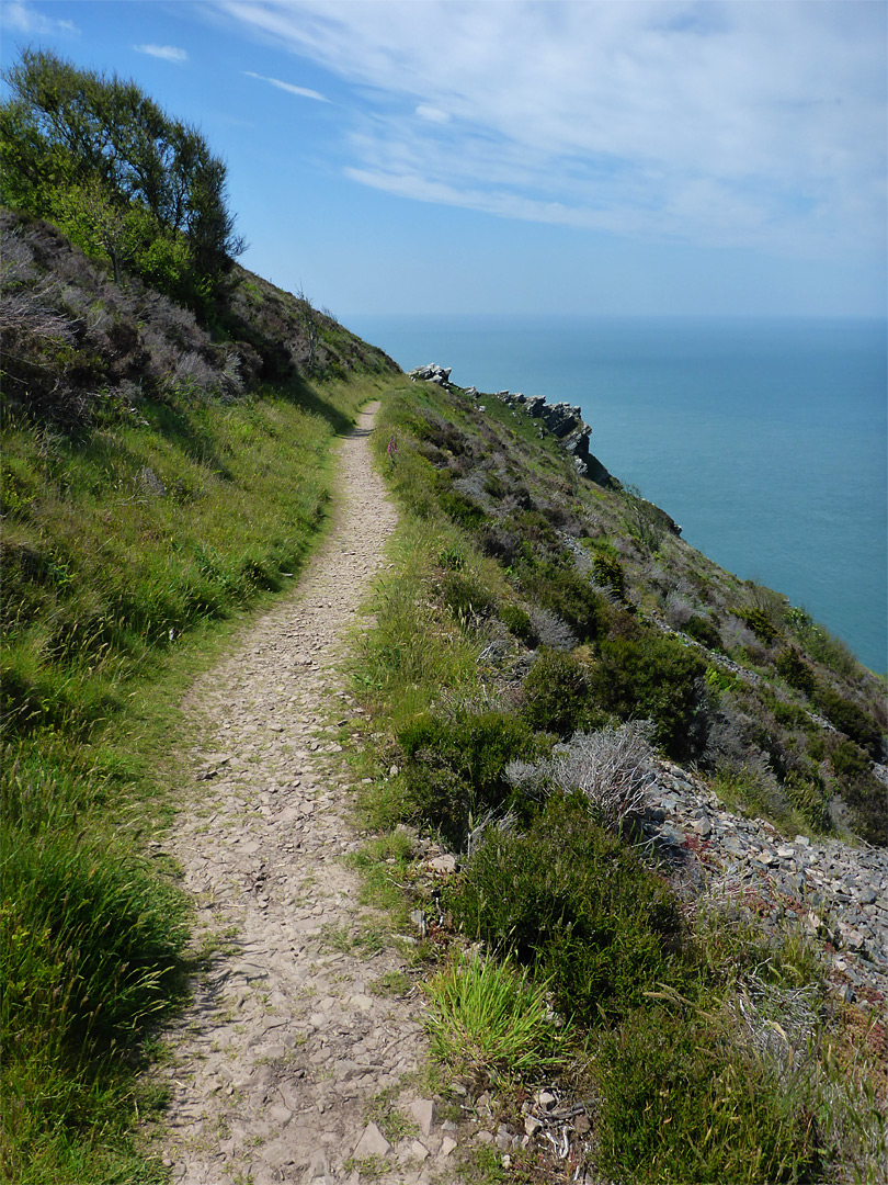 Grassy path