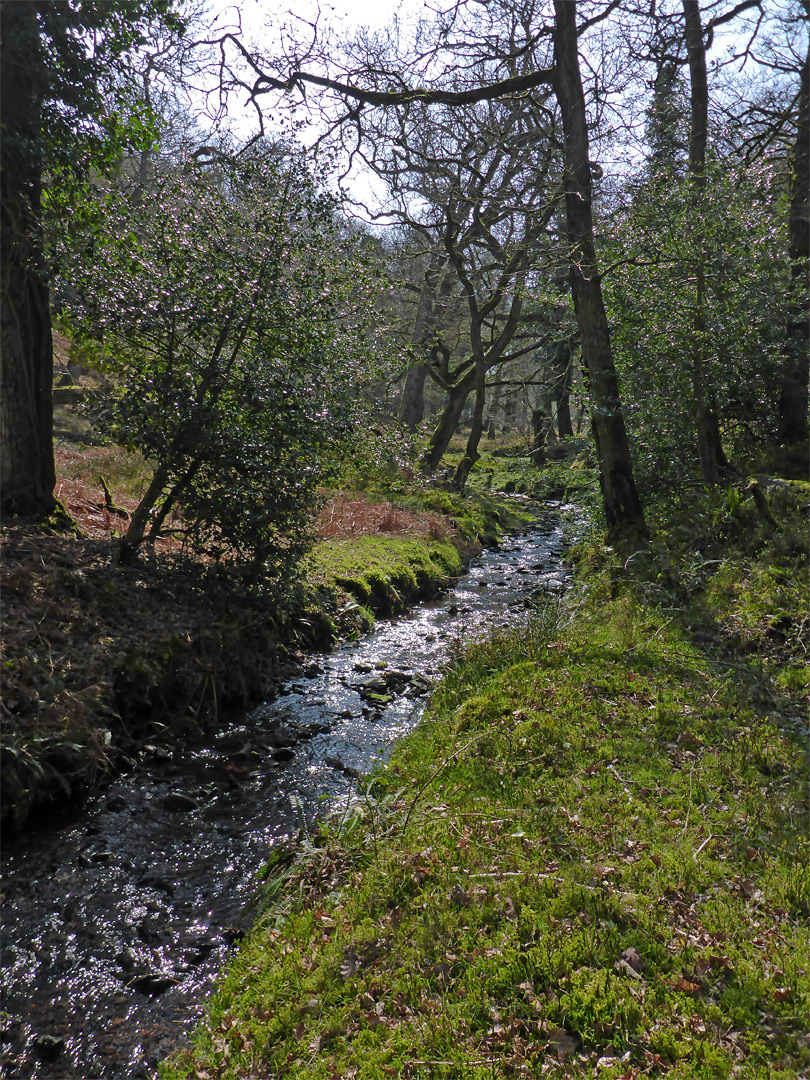 Grassy banks