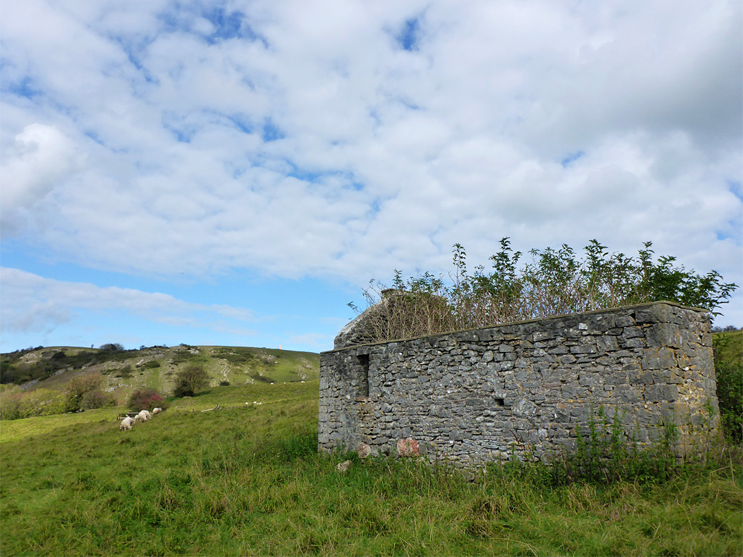 Ruined building