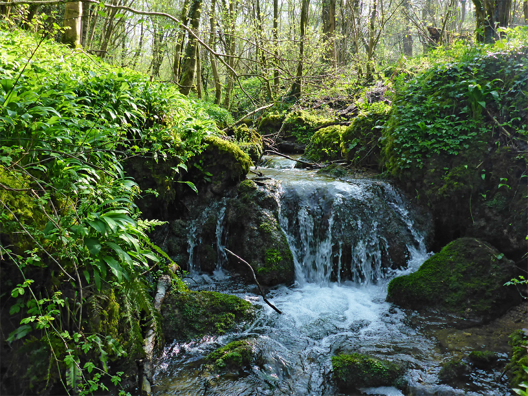 Waterfall