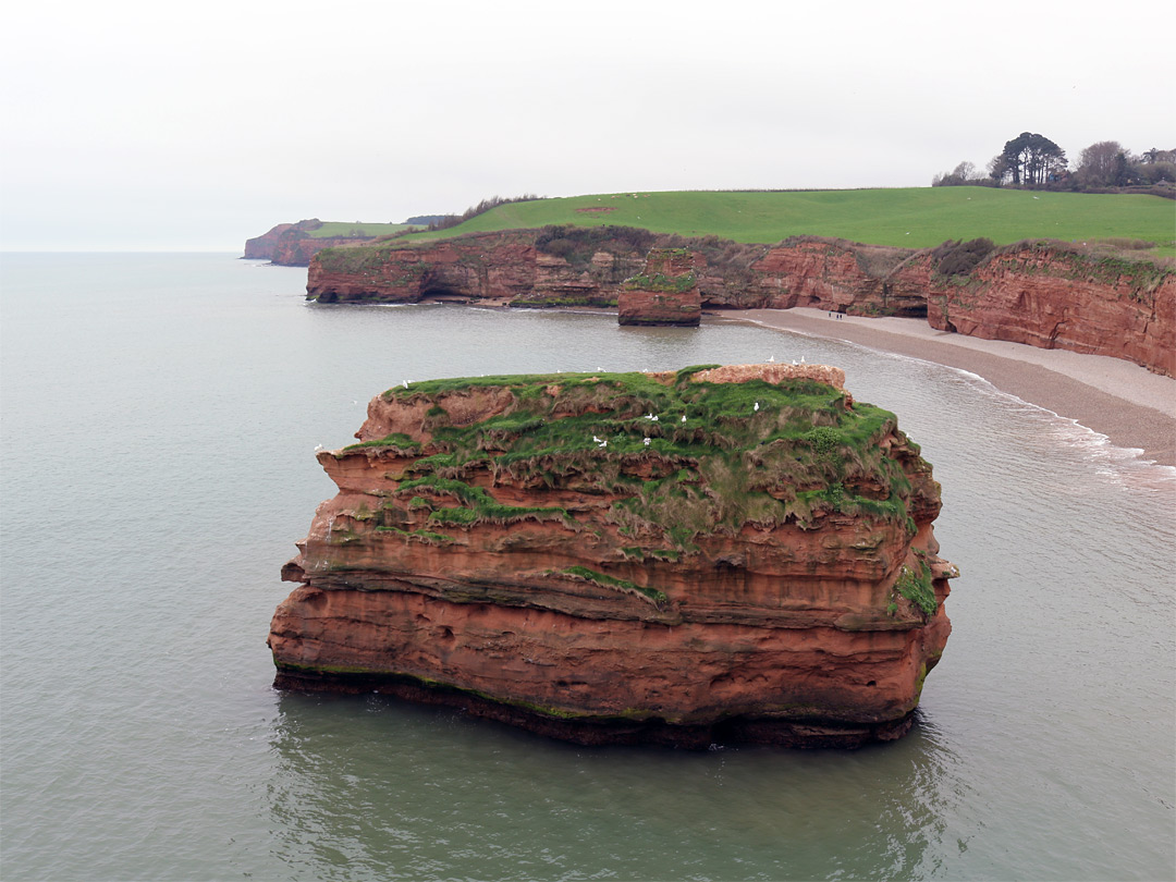 North of Ladram Bay