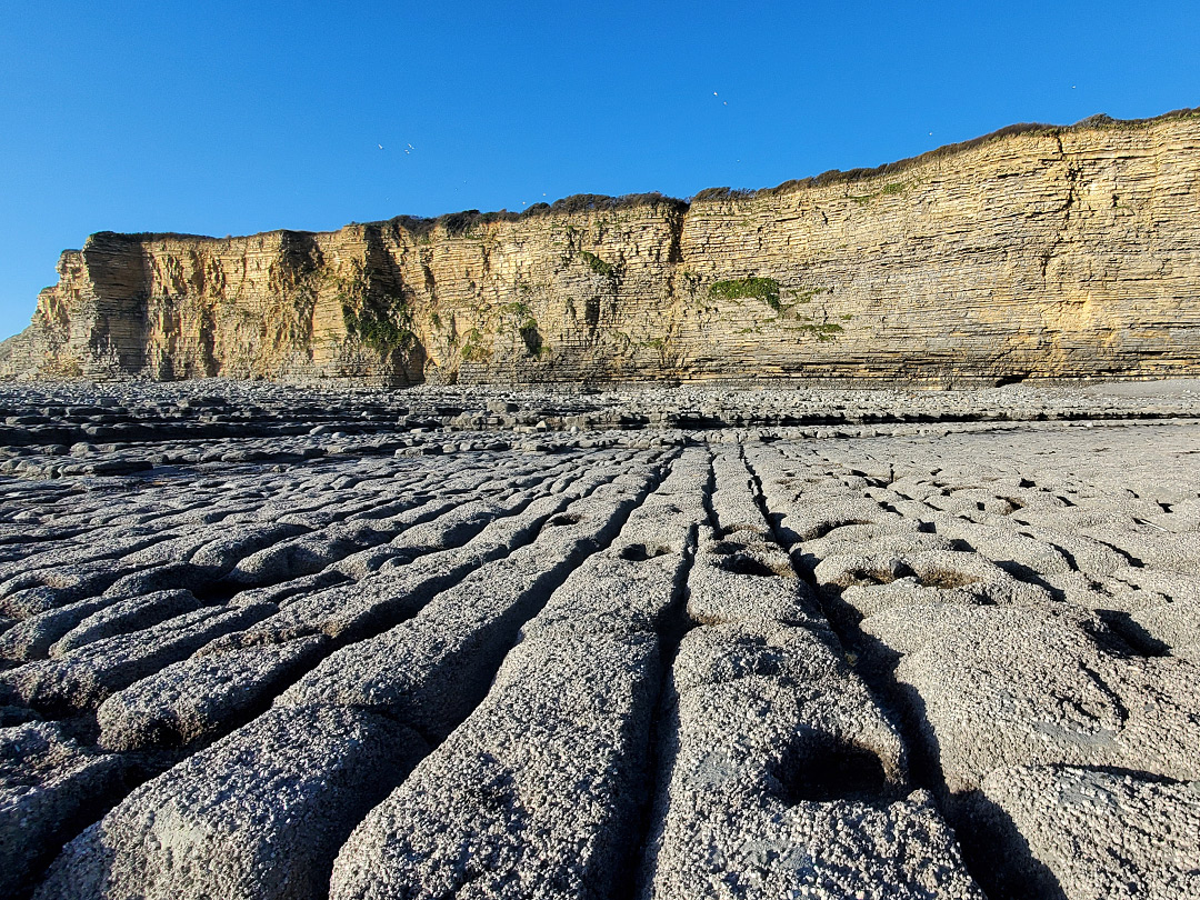 Flat limestone