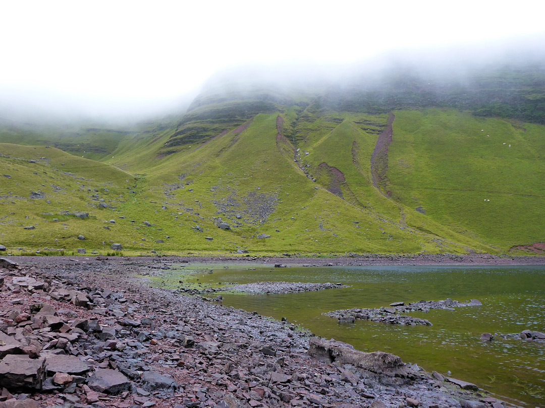 Misty lake