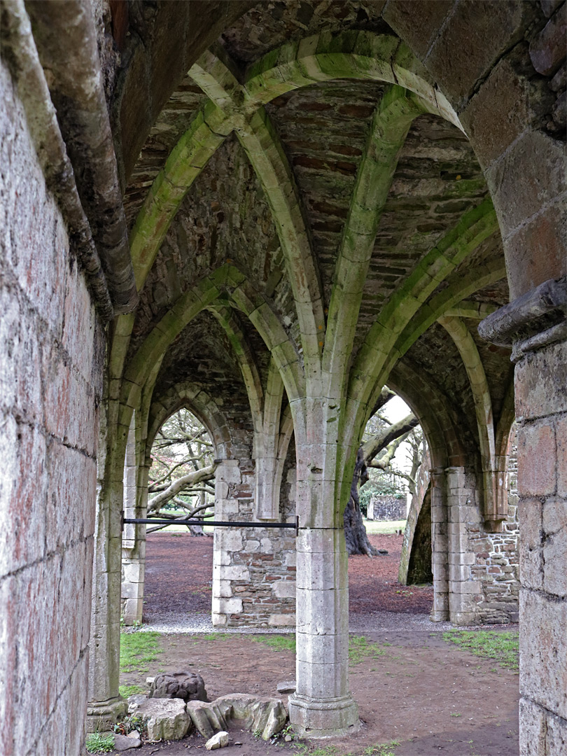 Vaulted ceiling