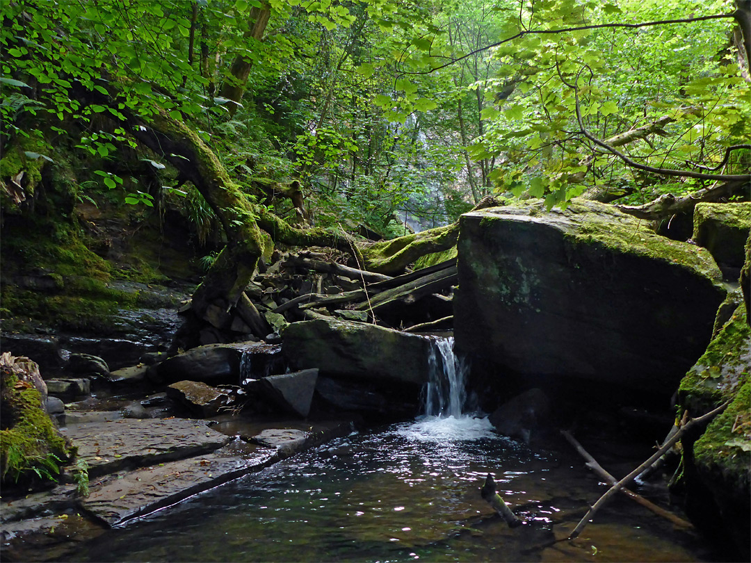 Boulders in the stream