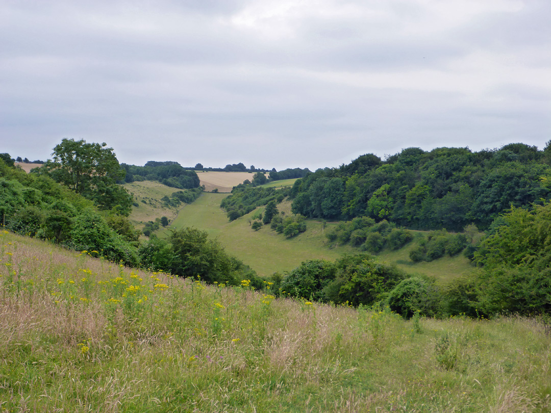 East section of the valley