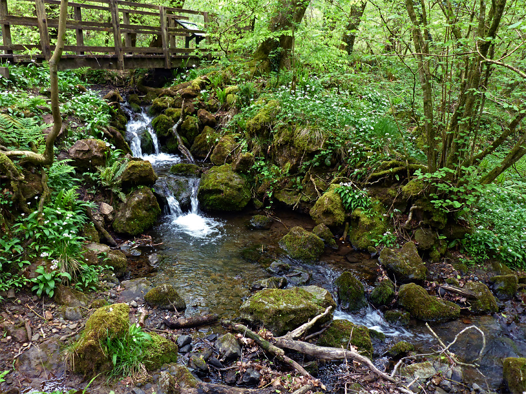 Footbridge