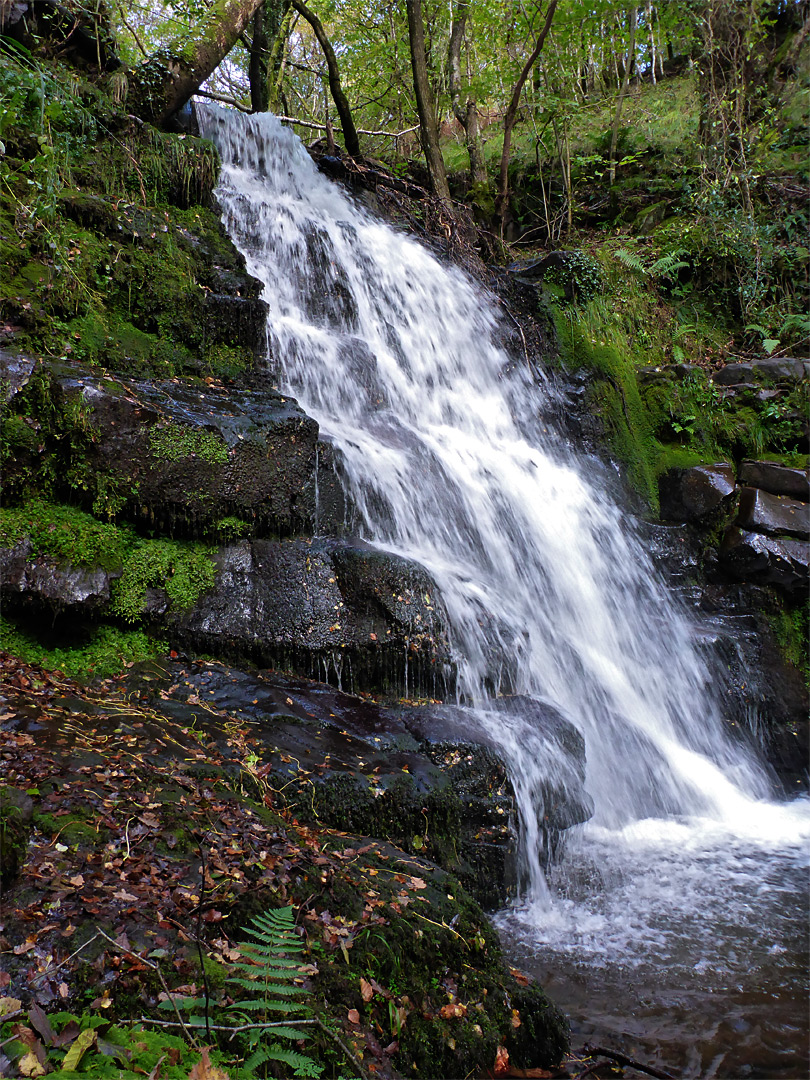 Falling water