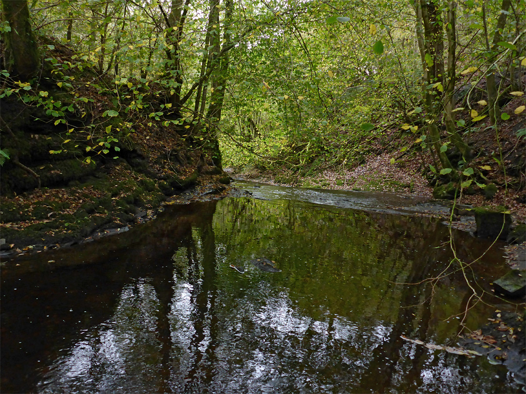 Reflections on a pool