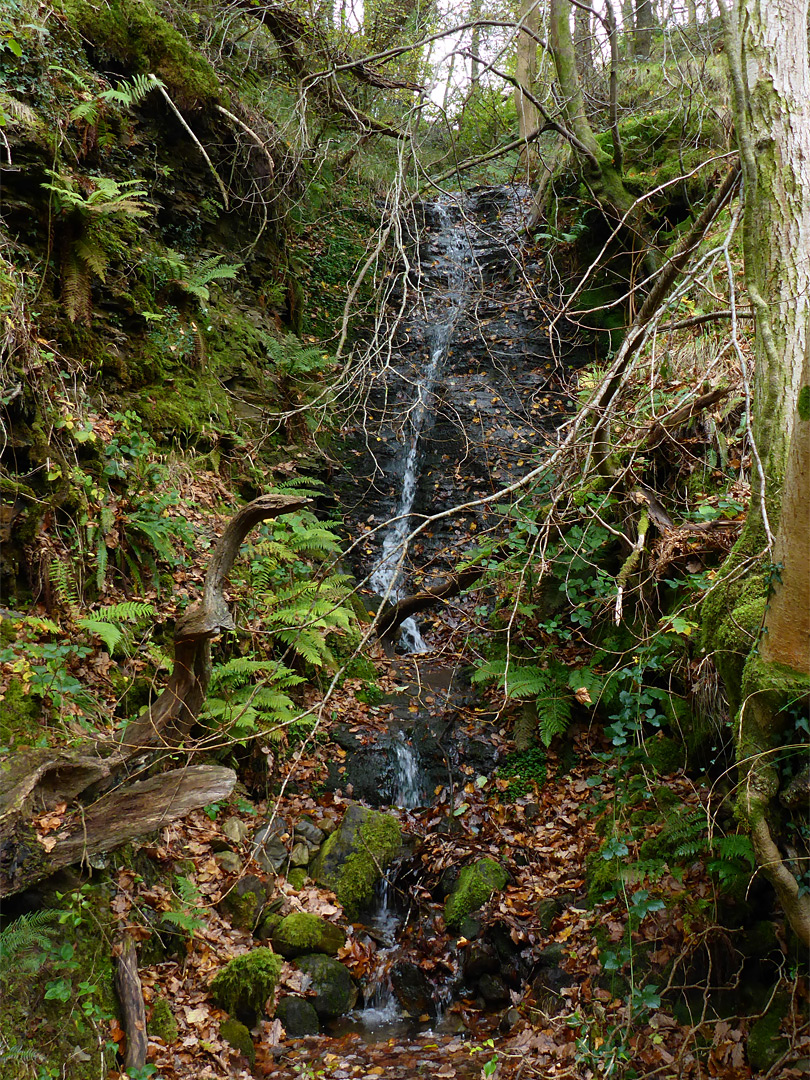 Narrow cascade