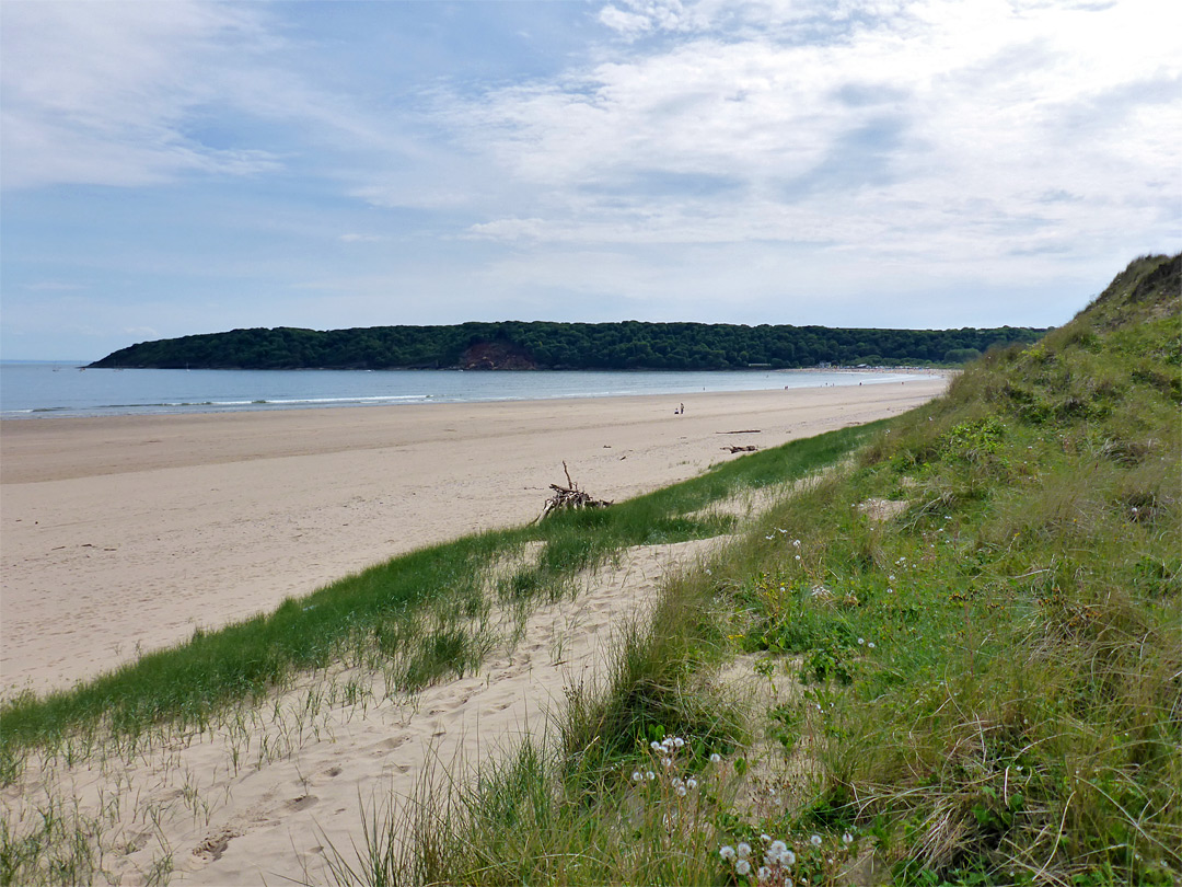 Oxwich Beach