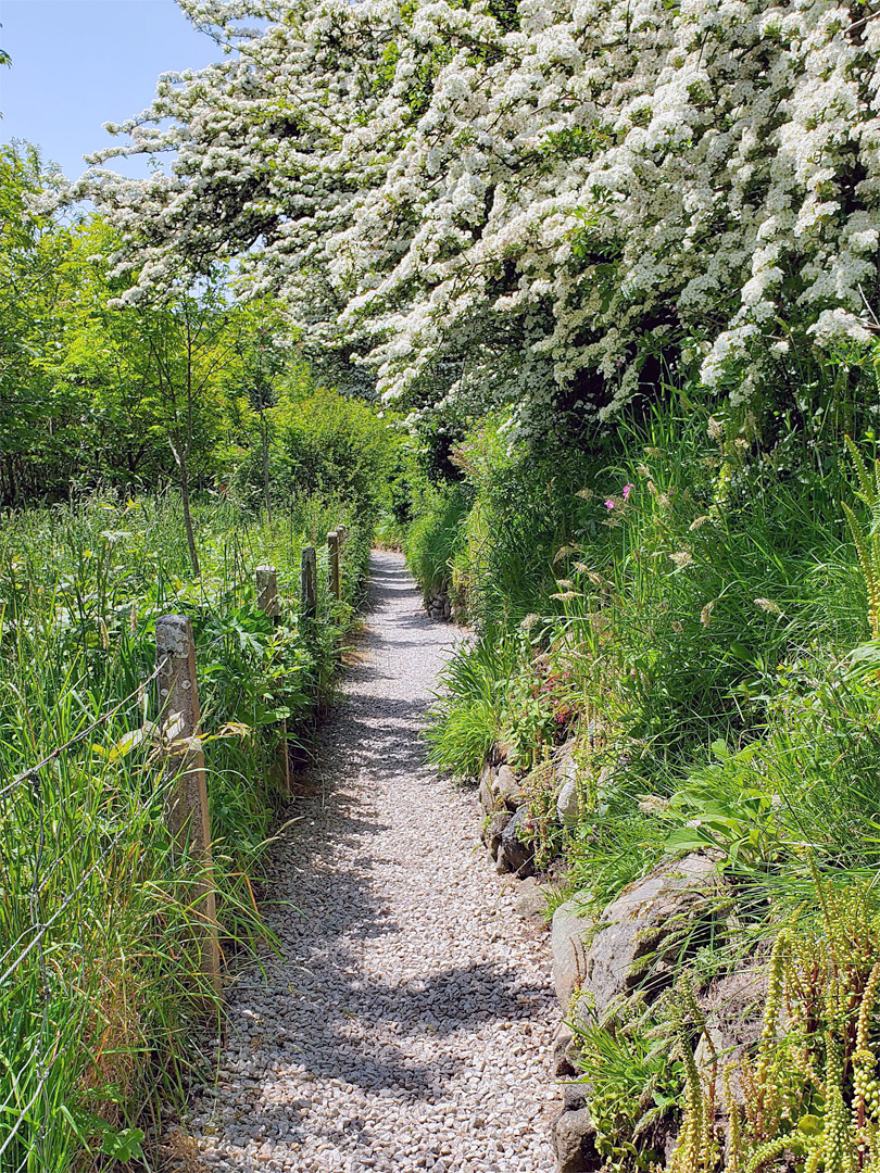 Path to Chysauster