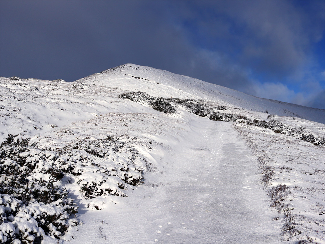 Snowy path