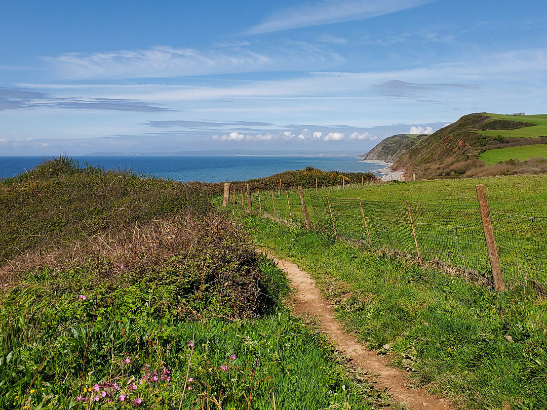 Path along a field