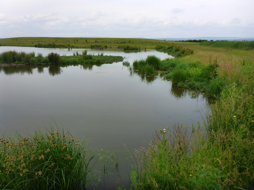 Freshwater pool