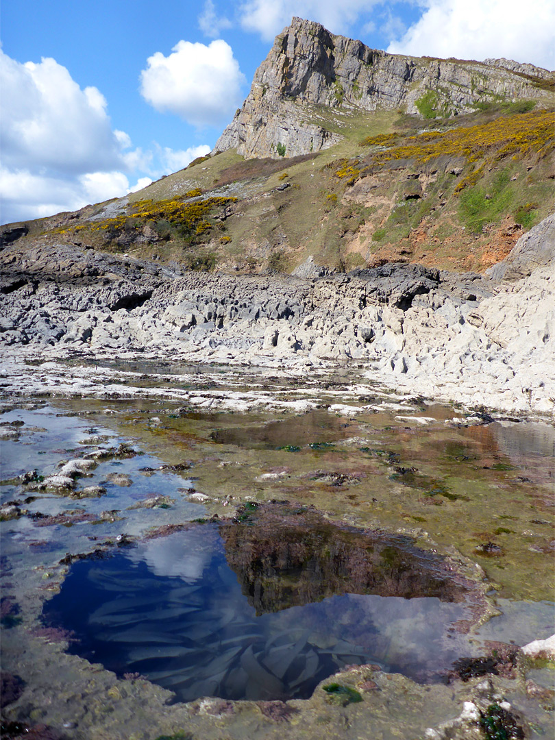 Circular pool