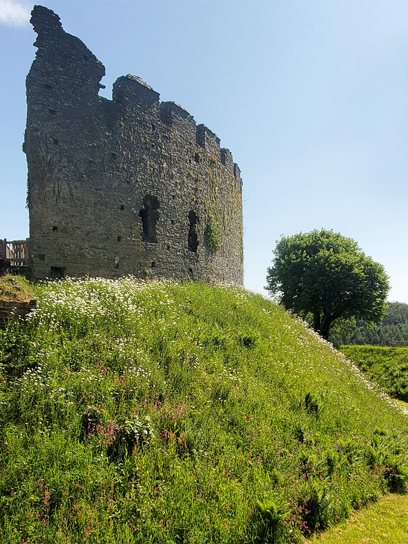 South walls