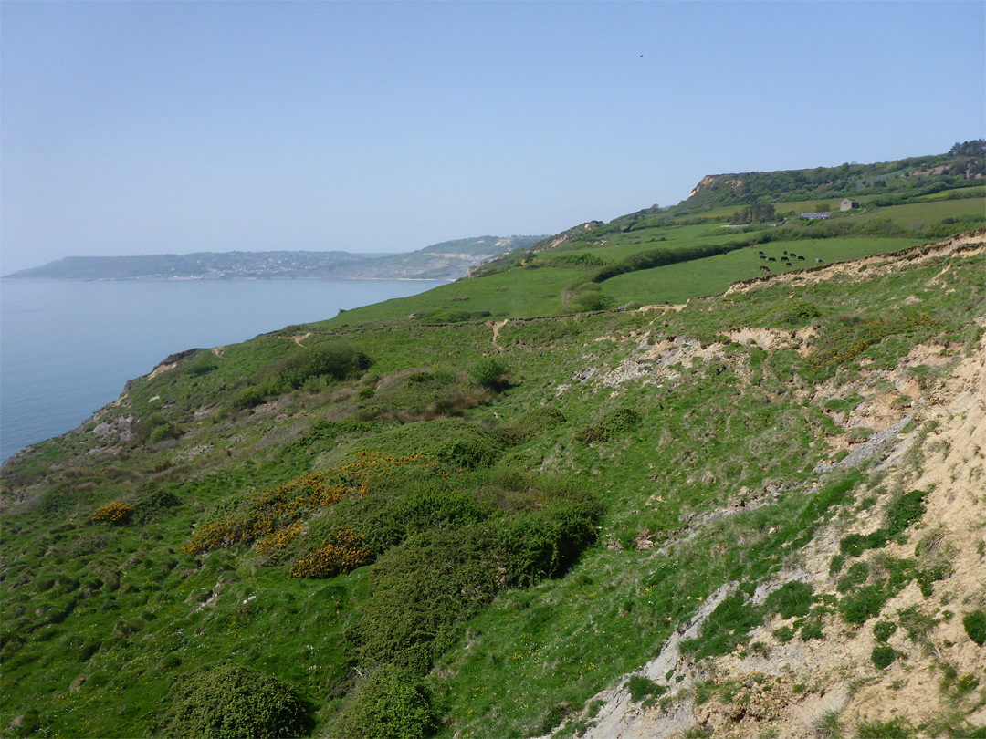 Ridge Cliff - view west