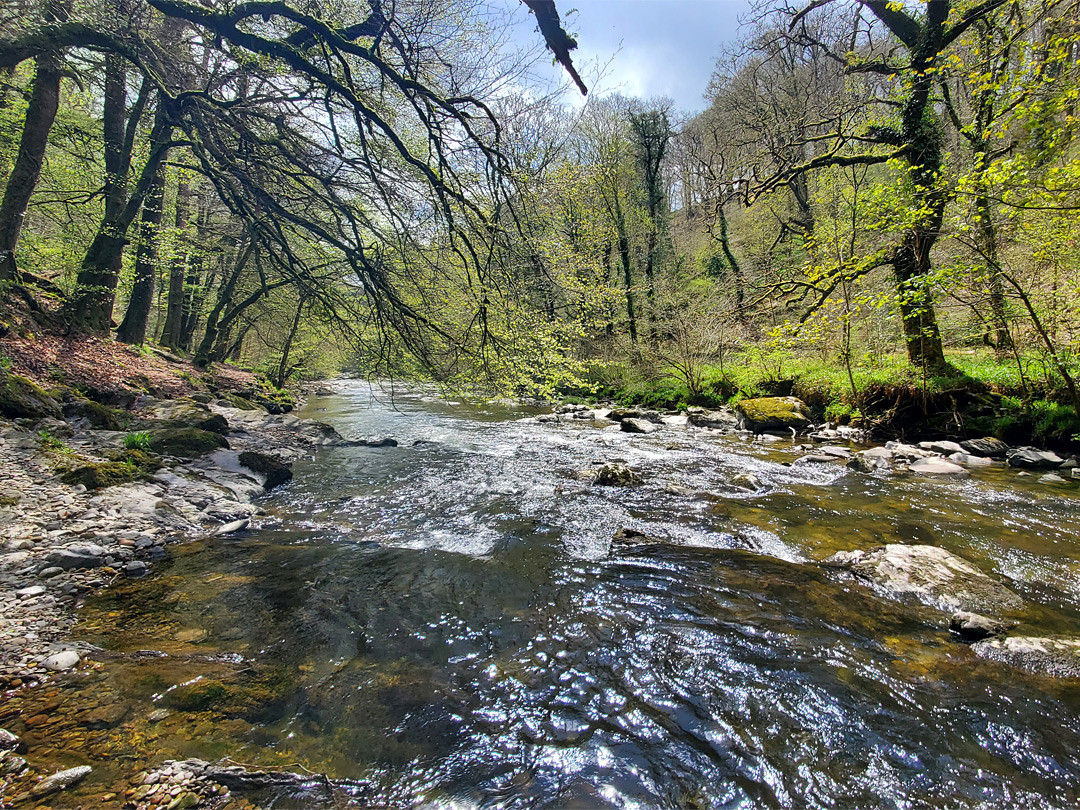 The river corridor