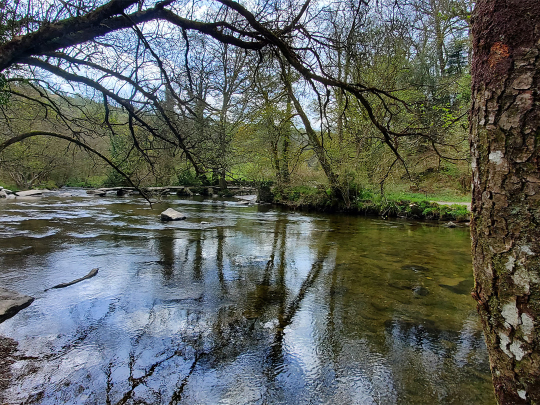 Reflections