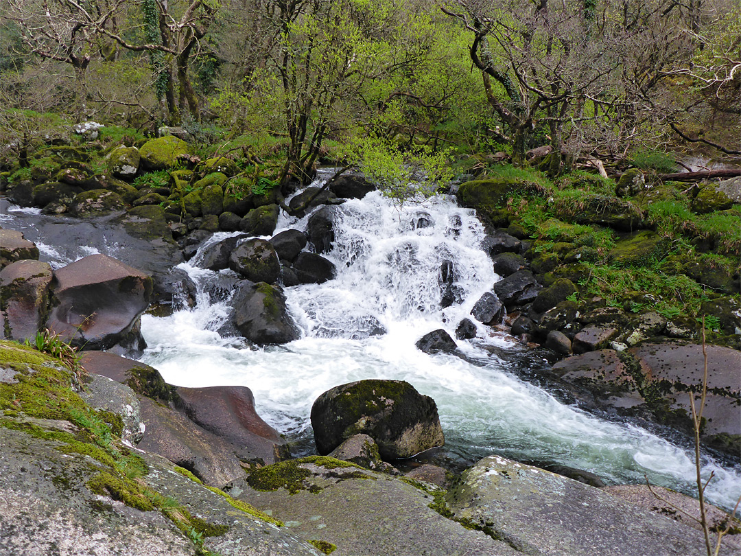 Two branches of the river